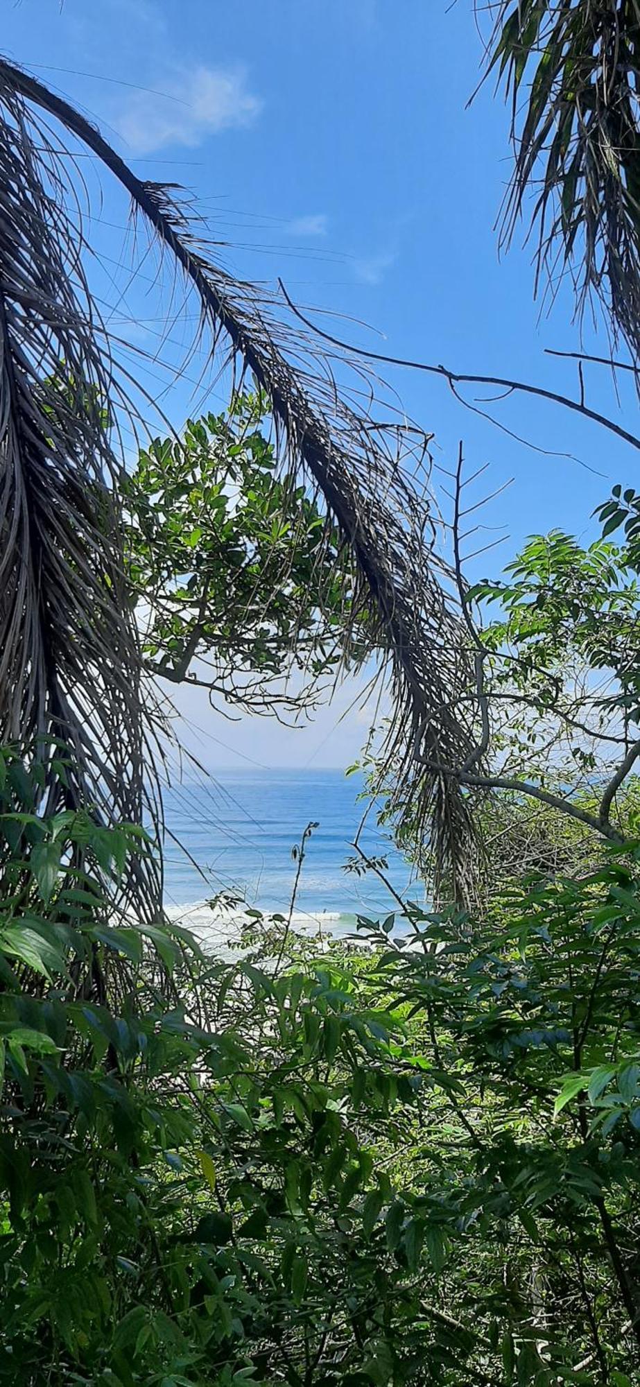 Praia Do Rosa Kaora Cabanas 客房 照片